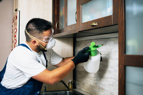 Best Commercial Pest Control Services  in Quail Ridge, FL